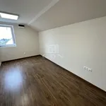 Rent 19 bedroom apartment of 375 m² in Székesfehérvár