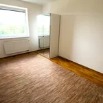 Rent 3 bedroom apartment in Brno