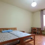 Rent a room in trento