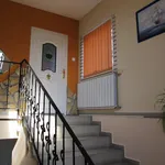 Rent 1 bedroom house of 240 m² in Tata