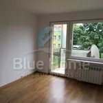 Rent 3 bedroom apartment of 53 m² in Leszno