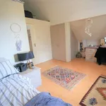 Rent 3 bedroom apartment in Yorkshire And The Humber