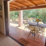 Rent 3 bedroom house of 90 m² in Olbia