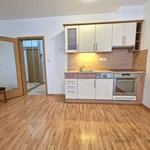 Rent 1 bedroom apartment of 36 m² in Brno