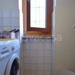 Rent 2 bedroom apartment of 50 m² in Torino