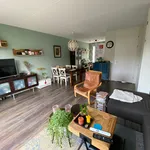 Rent 4 bedroom house of 113 m² in Rapelenburg