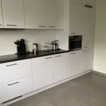 Maison de 918 m² avec 2 chambre(s) en location à Nijlen