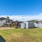 Rent 3 bedroom house in Papakura