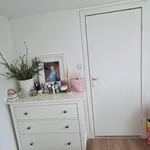 Rent 2 bedroom apartment of 25 m² in Pijlsweerd-Zuid