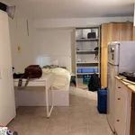 Rent 1 bedroom apartment of 28 m² in Milano