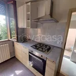 Rent 3 bedroom apartment of 70 m² in Padova