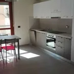 Rent 3 bedroom apartment of 84 m² in Turin