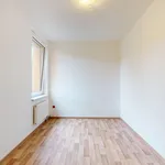 Pronájem byty 2+kk, 40 m2 - Chýnov - Keller Williams