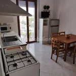 Rent 1 bedroom apartment of 45 m² in Pisa