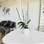 Appartement de 57 m² avec 2 chambre(s) en location à Cannes