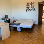 Rent 5 bedroom apartment of 30 m² in Pisa