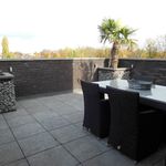 Rent 1 bedroom apartment of 40 m² in Maastricht