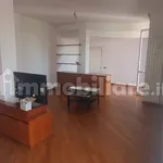 Penthouse viale Carlo d'Adda 25, Centro, Cassano d'Adda