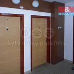 Rent 2 bedroom apartment of 42 m² in Jindřichův Hradec