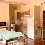 Rent 2 bedroom apartment of 45 m² in Piacenza