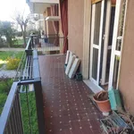 Rent 4 bedroom apartment of 100 m² in Pavia