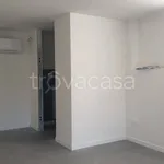 Rent 2 bedroom apartment of 60 m² in Bologna