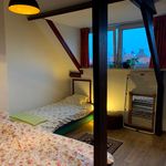Rent 4 bedroom house of 145 m² in Het Ven
