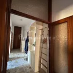 Rent 4 bedroom apartment of 90 m² in Bologna