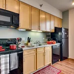 Rent 1 bedroom apartment in Chicago