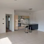 Rent 3 bedroom apartment of 85 m² in Vicenza