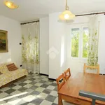 Rent 3 bedroom apartment of 70 m² in Gavi