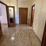 Rent 6 bedroom apartment of 232 m² in Ortona