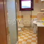 Rent 4 bedroom apartment of 100 m² in Colorno