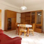 Rent 2 bedroom apartment of 100 m² in bologna