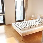 Miete 4 Schlafzimmer studentenwohnung von 15 m² in Hamburg