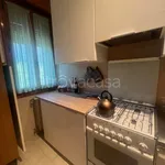 Rent 4 bedroom apartment of 100 m² in Bologna