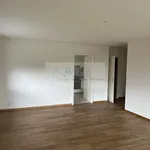 Rent 4 bedroom apartment in  rue du Chapeau-Râblé 46