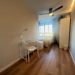 Rent 7 bedroom apartment in Valencia