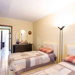 Rent a room of 130 m² in Milano