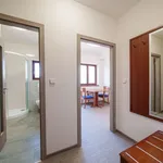 Rent 1 bedroom apartment of 34 m² in Jindřichův Hradec