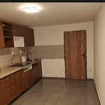 Rent 1 bedroom apartment in Kladno