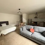 Appartement de 39 m² avec 1 chambre(s) en location à orléans