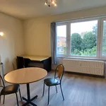 Rent 1 bedroom apartment in Leuven