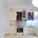 Rent 1 bedroom apartment in Capital City of Prague