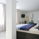 Rent 1 bedroom apartment of 55 m² in Brno