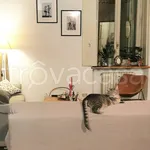 Rent 3 bedroom apartment of 98 m² in Torino