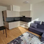 Rent 2 bedroom apartment of 63 m² in Capital City of Prague