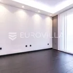 Rent 4 bedroom apartment of 169 m² in Zagreb