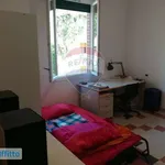 Rent 3 bedroom apartment of 85 m² in Bologna