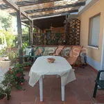 Rent 3 bedroom house of 60 m² in Squillace